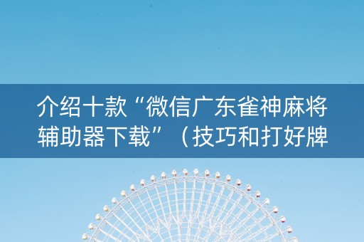 介绍十款“微信广东雀神麻将辅助器下载”（技巧和打好牌方法)