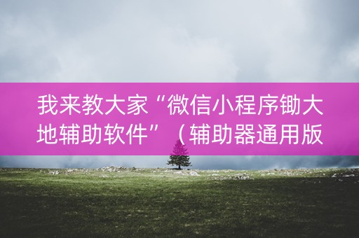 我来教大家“微信小程序锄大地辅助软件”（辅助器通用版)