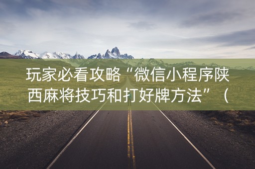 玩家必看攻略“微信小程序陕西麻将技巧和打好牌方法”（攻略插件)