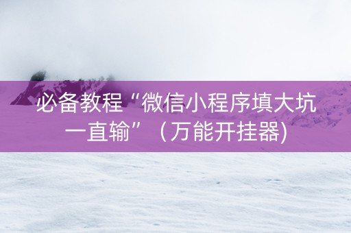 必备教程“微信小程序填大坑一直输”（万能开挂器)
