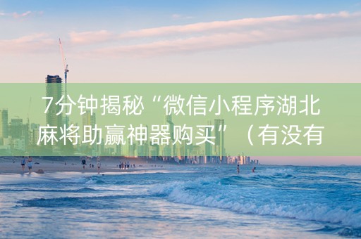 7分钟揭秘“微信小程序湖北麻将助赢神器购买”（有没有猫腻)