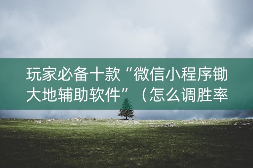 玩家必备十款“微信小程序锄大地辅助软件”（怎么调胜率)