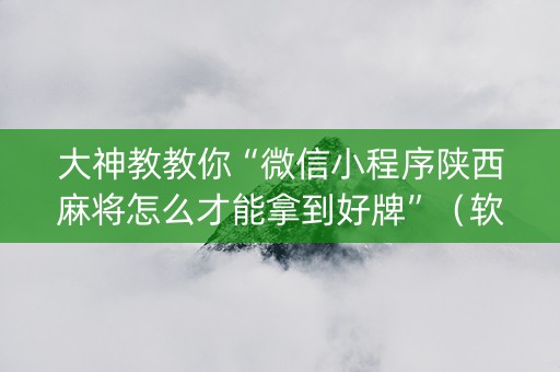 大神教教你“微信小程序陕西麻将怎么才能拿到好牌”（软挂神器)