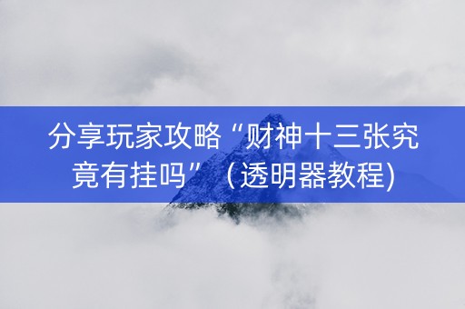 分享玩家攻略“财神十三张究竟有挂吗”（透明器教程)