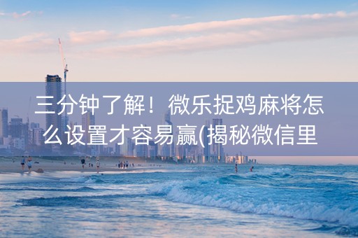 三分钟了解！微乐捉鸡麻将怎么设置才容易赢(揭秘微信里赢的诀窍)