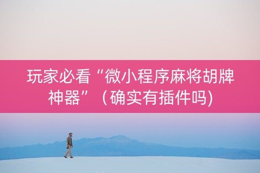 玩家必看“微小程序麻将胡牌神器”（确实有插件吗)