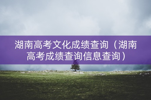 湖南高考文化成绩查询（湖南高考成绩查询信息查询）