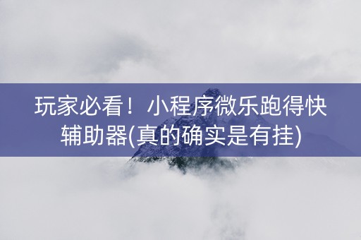 玩家必看！小程序微乐跑得快辅助器(真的确实是有挂)