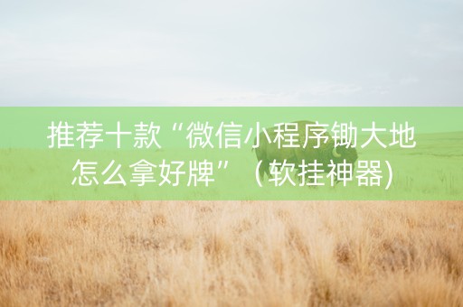推荐十款“微信小程序锄大地怎么拿好牌”（软挂神器)