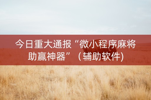 今日重大通报“微小程序麻将助赢神器”（辅助软件)