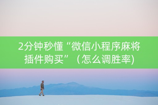 2分钟秒懂“微信小程序麻将插件购买”（怎么调胜率)