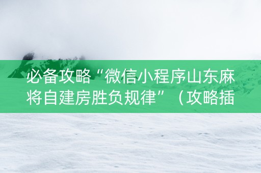 必备攻略“微信小程序山东麻将自建房胜负规律”（攻略插件)