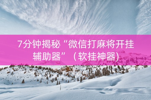 7分钟揭秘“微信打麻将开挂辅助器”（软挂神器)