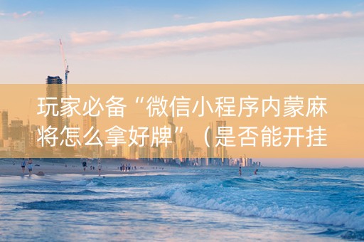玩家必备“微信小程序内蒙麻将怎么拿好牌”（是否能开挂)