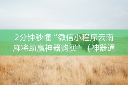 2分钟秒懂“微信小程序云南麻将助赢神器购买”（神器通用版)