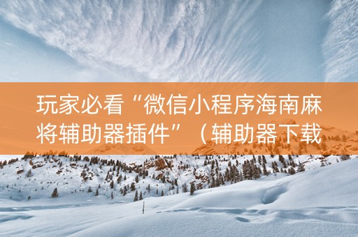 玩家必看“微信小程序海南麻将辅助器插件”（辅助器下载)