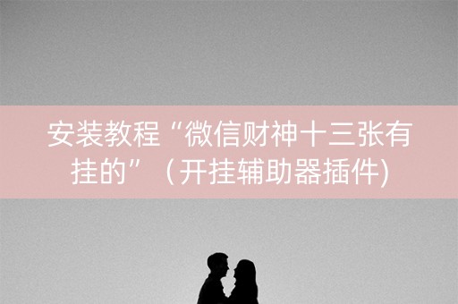 安装教程“微信财神十三张有挂的”（开挂辅助器插件)