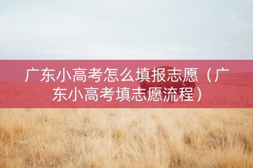 广东小高考怎么填报志愿（广东小高考填志愿流程）