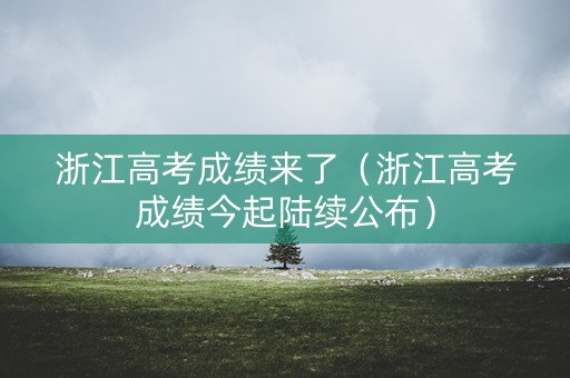浙江高考成绩来了（浙江高考成绩今起陆续公布）