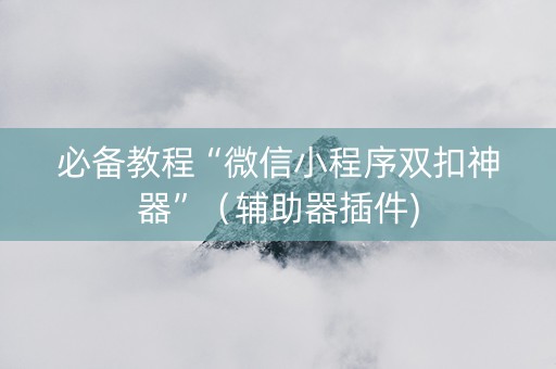 必备教程“微信小程序双扣神器”（辅助器插件)