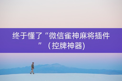 终于懂了“微信雀神麻将插件”（控牌神器)