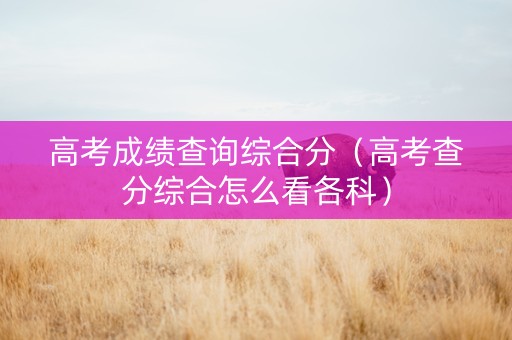 高考成绩查询综合分（高考查分综合怎么看各科）