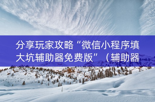 分享玩家攻略“微信小程序填大坑辅助器免费版”（辅助器插件)