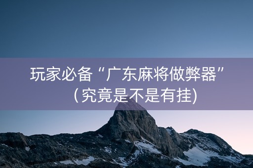 玩家必备“广东麻将做弊器”（究竟是不是有挂)