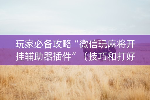 玩家必备攻略“微信玩麻将开挂辅助器插件”（技巧和打好牌方法)