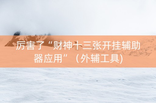 厉害了“财神十三张开挂辅助器应用”（外辅工具)