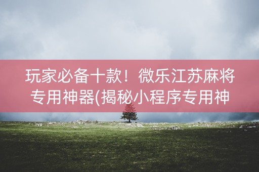 玩家必备十款！微乐江苏麻将专用神器(揭秘小程序专用神器下载)