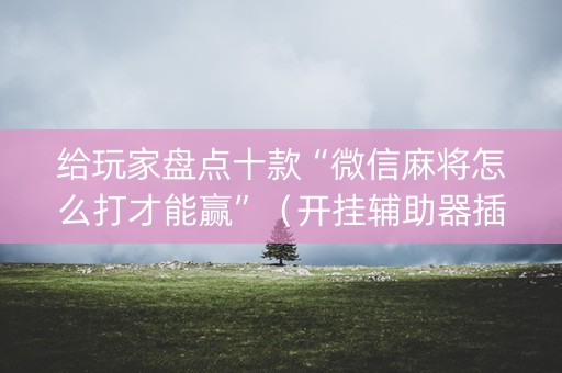 给玩家盘点十款“微信麻将怎么打才能赢”（开挂辅助器插件)