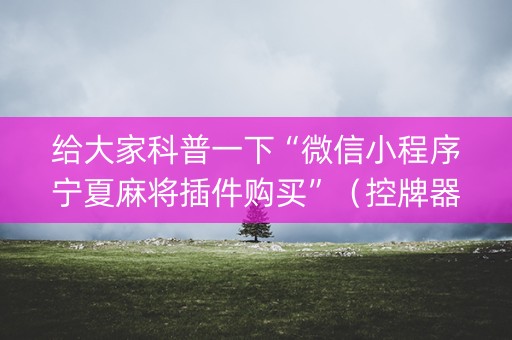 给大家科普一下“微信小程序宁夏麻将插件购买”（控牌器)