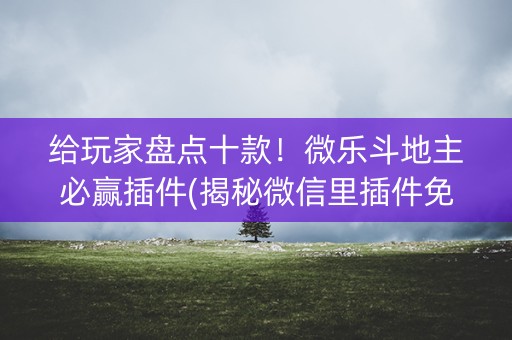 给玩家盘点十款！微乐斗地主必赢插件(揭秘微信里插件免费)