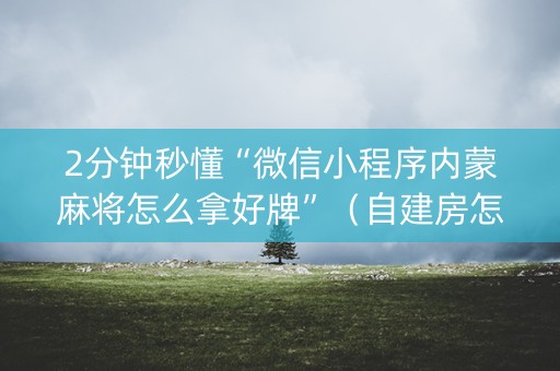 2分钟秒懂“微信小程序内蒙麻将怎么拿好牌”（自建房怎么拿好牌)