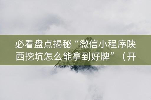 必看盘点揭秘“微信小程序陕西挖坑怎么能拿到好牌”（开挂辅助插件)