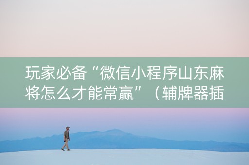 玩家必备“微信小程序山东麻将怎么才能常赢”（辅牌器插件购买)