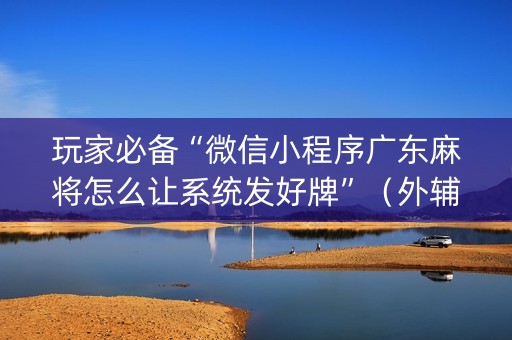 玩家必备“微信小程序广东麻将怎么让系统发好牌”（外辅工具)