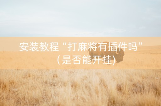 安装教程“打麻将有插件吗”（是否能开挂)