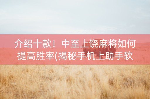 介绍十款！中至上饶麻将如何提高胜率(揭秘手机上助手软件)