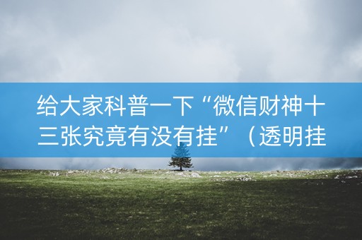 给大家科普一下“微信财神十三张究竟有没有挂”（透明挂辅助器)