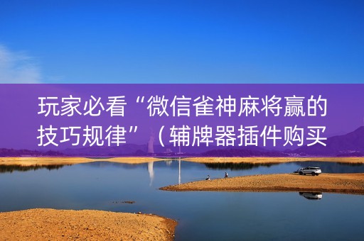 玩家必看“微信雀神麻将赢的技巧规律”（辅牌器插件购买)