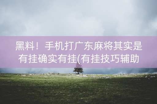 黑料！手机打广东麻将其实是有挂确实有挂(有挂技巧辅助器)