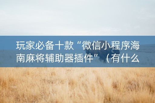 玩家必备十款“微信小程序海南麻将辅助器插件”（有什么规律)