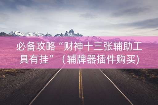 必备攻略“财神十三张辅助工具有挂”（辅牌器插件购买)