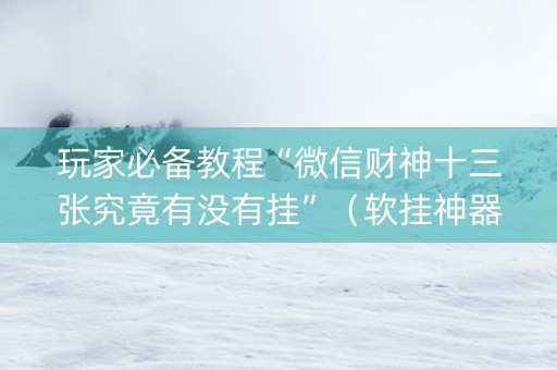 玩家必备教程“微信财神十三张究竟有没有挂”（软挂神器)