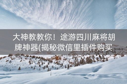 大神教教你！途游四川麻将胡牌神器(揭秘微信里插件购买)