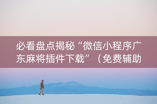必看盘点揭秘“微信小程序广东麻将插件下载”（免费辅助)