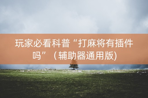 玩家必看科普“打麻将有插件吗”(辅助器通用版) 玩家必看科普“打麻将有插件吗”(辅助器通用版)