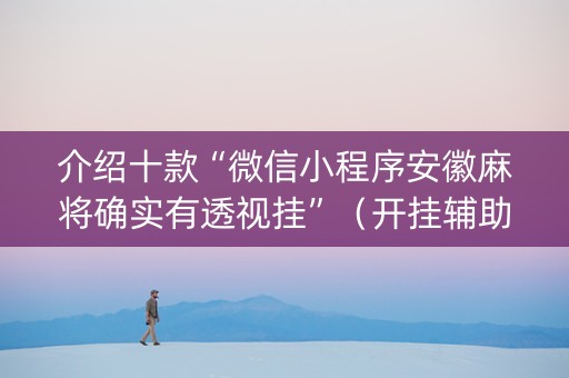 介绍十款“微信小程序安徽麻将确实有透视挂”（开挂辅助插件)